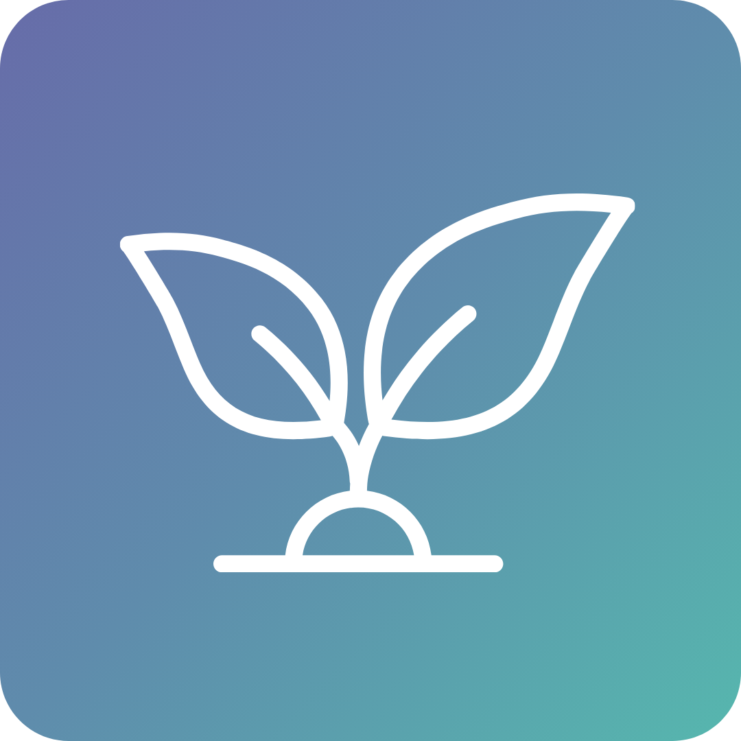 Ontwerp zonder titel - 2026-02-07T113838.755