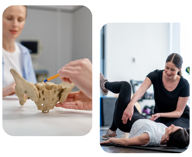 fysiotherapie voor de bekken en het lage ruggebied